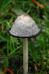 Similar image 337977