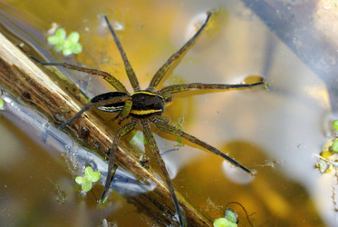 Similar image 337997