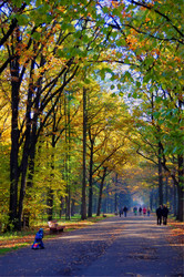 Similar image 338022