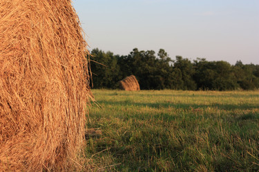 Similar image 338084