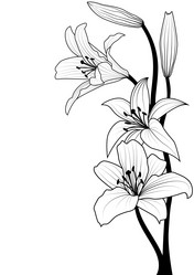 Similar image 338087