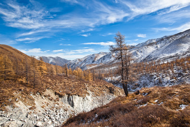 Similar image 338228