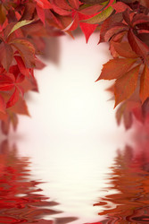 Similar image 338229