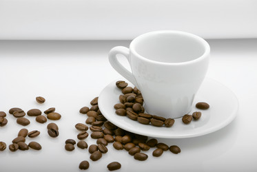 Similar image 338270