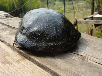 Similar image 338323