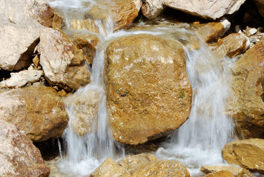 Similar image 338330