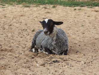 Similar image 338435