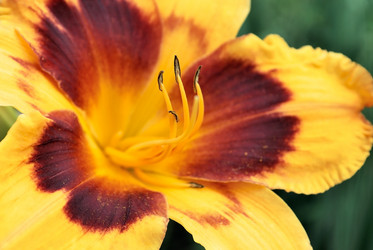 Similar image 338476