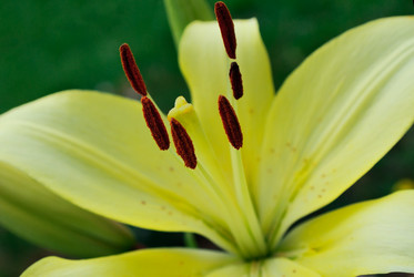 Similar image 338477