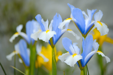 Similar image 338478