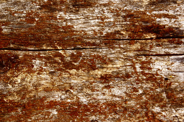 Similar image 338532