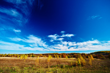 Similar image 338678