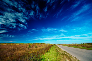 Similar image 338685