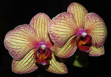 Similar image 338766