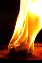 Similar image 338844