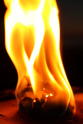 Similar image 338846