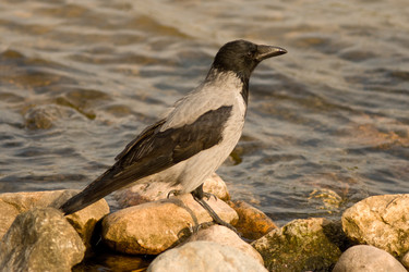 Similar image 338943