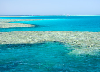 Similar image 338979