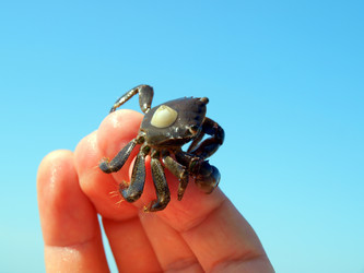 Similar image 338985