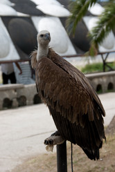 Similar image 339020