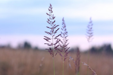 Similar image 339144