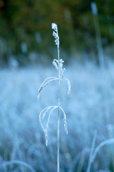 Similar image 339146