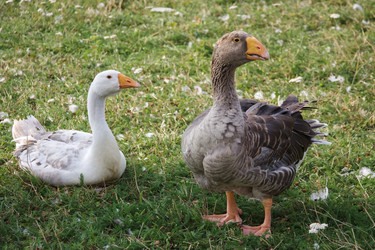 Similar image 339166