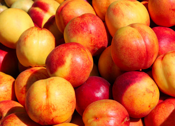 Similar image 339281