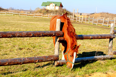 Similar image 339298