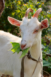 Similar image 339306