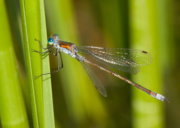 Similar image 339331