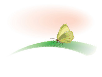 Similar image 339333