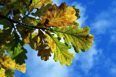 Similar image 339349