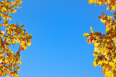 Similar image 339352