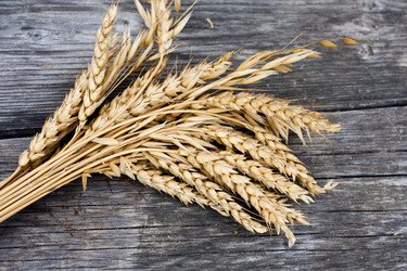 Similar image 339403