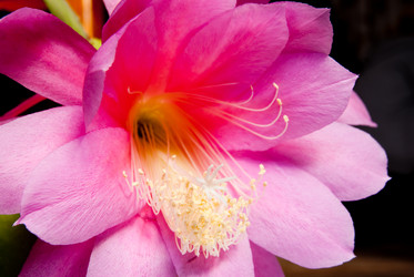 Similar image 339407