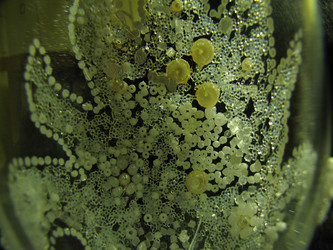 Similar image 339459