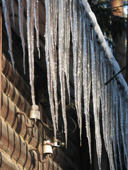 Similar image 339461