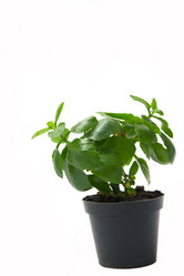 Similar image 339469