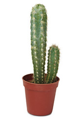 Similar image 339655