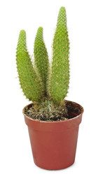 Similar image 339656