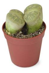 Similar image 339665