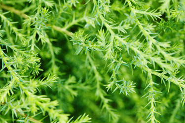 Similar image 339669