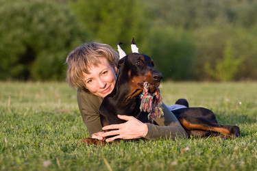 Similar image 339739