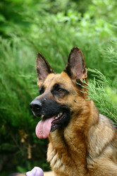 Similar image 339742