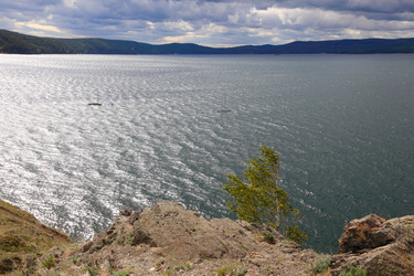 Similar image 339812