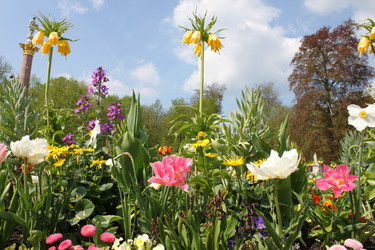 Similar image 339874