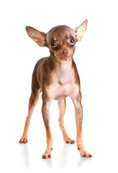 Similar image 340061