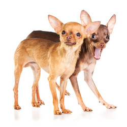 Similar image 340062