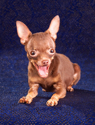 Similar image 340065